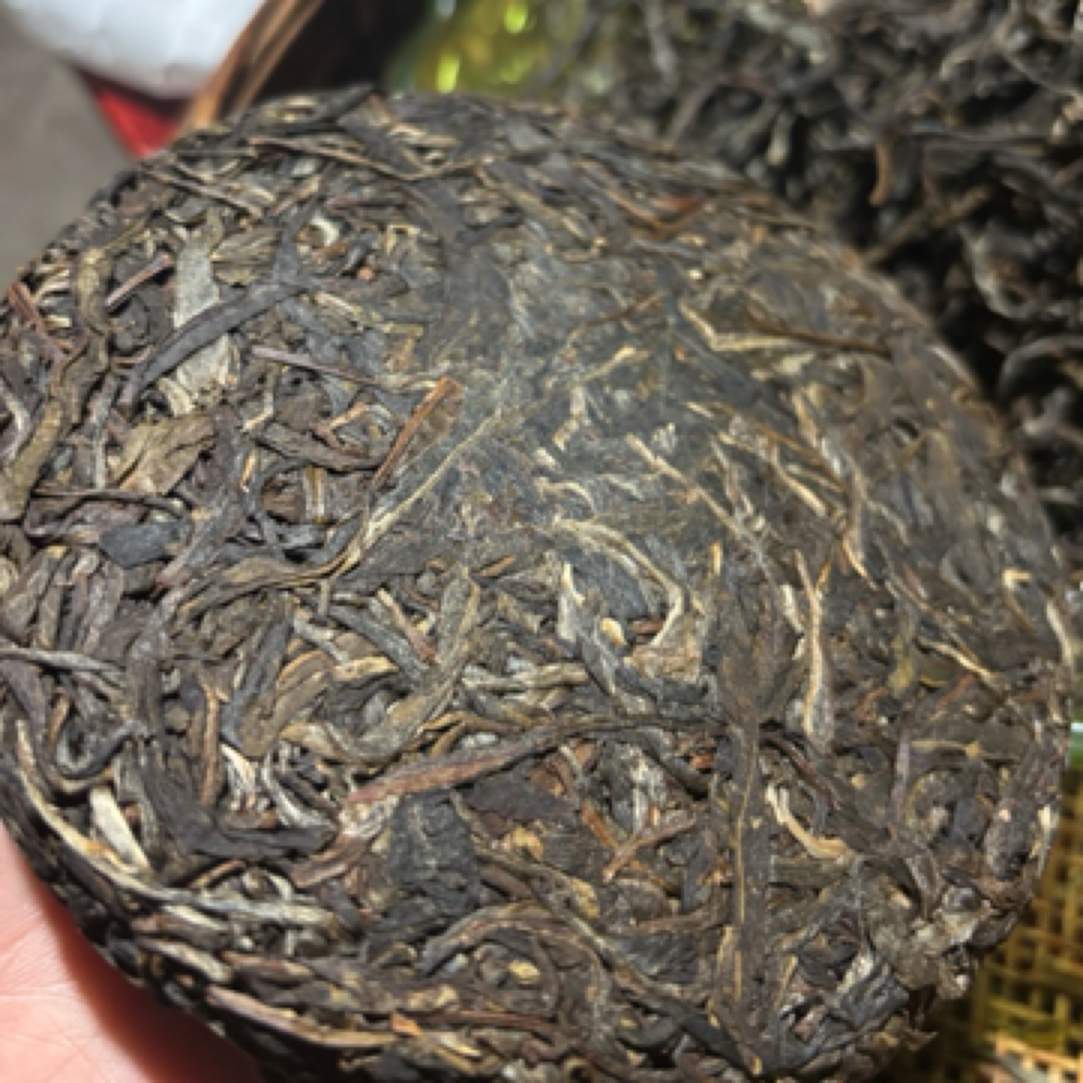 荒野古树茶老年份 2015年