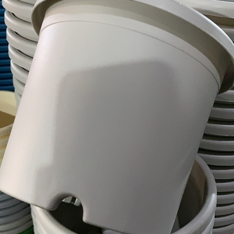 树脂3#无托灰白10个