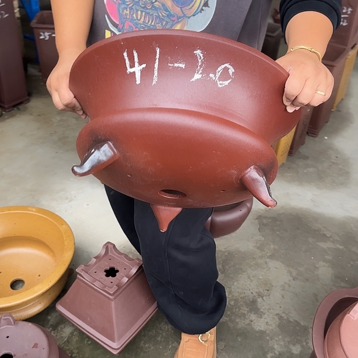 花盆紫砂这是我的