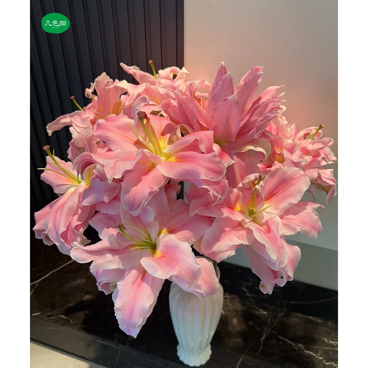 3头优尼格----重瓣百合云南直发鲜花