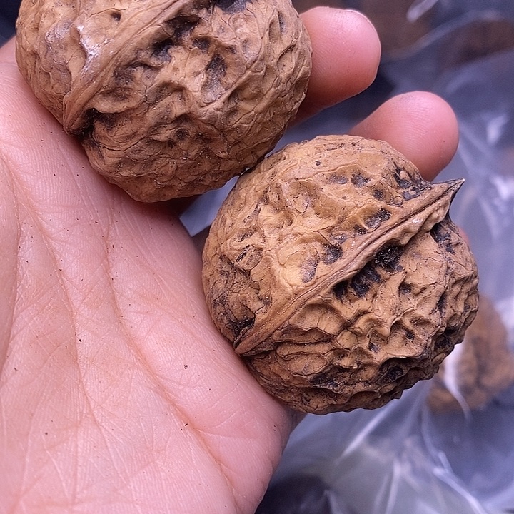 ༒***༒文玩核桃把件   238