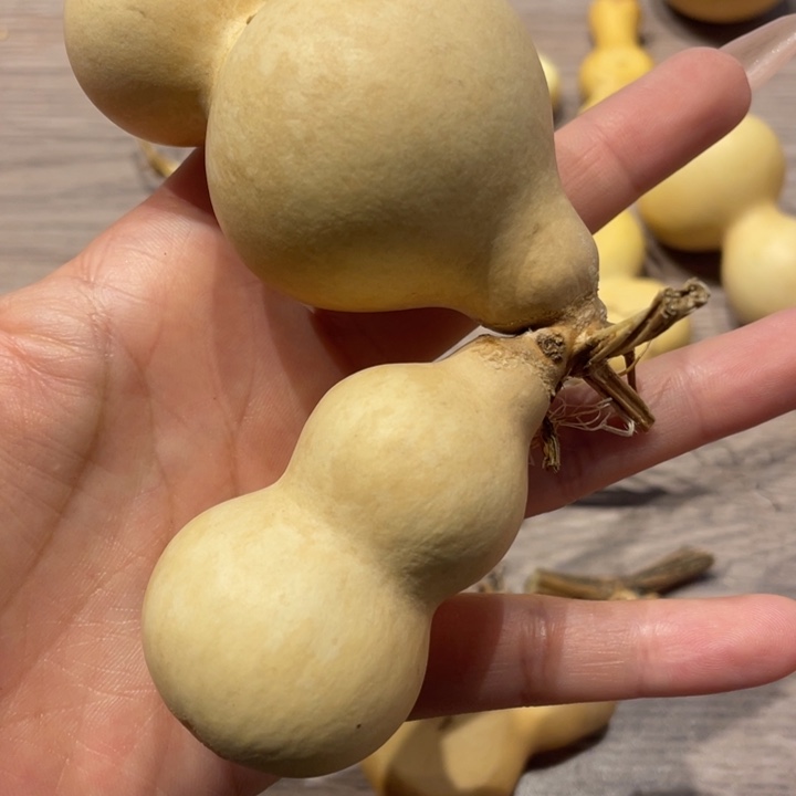 我****生葫芦葫芦葫芦葫芦