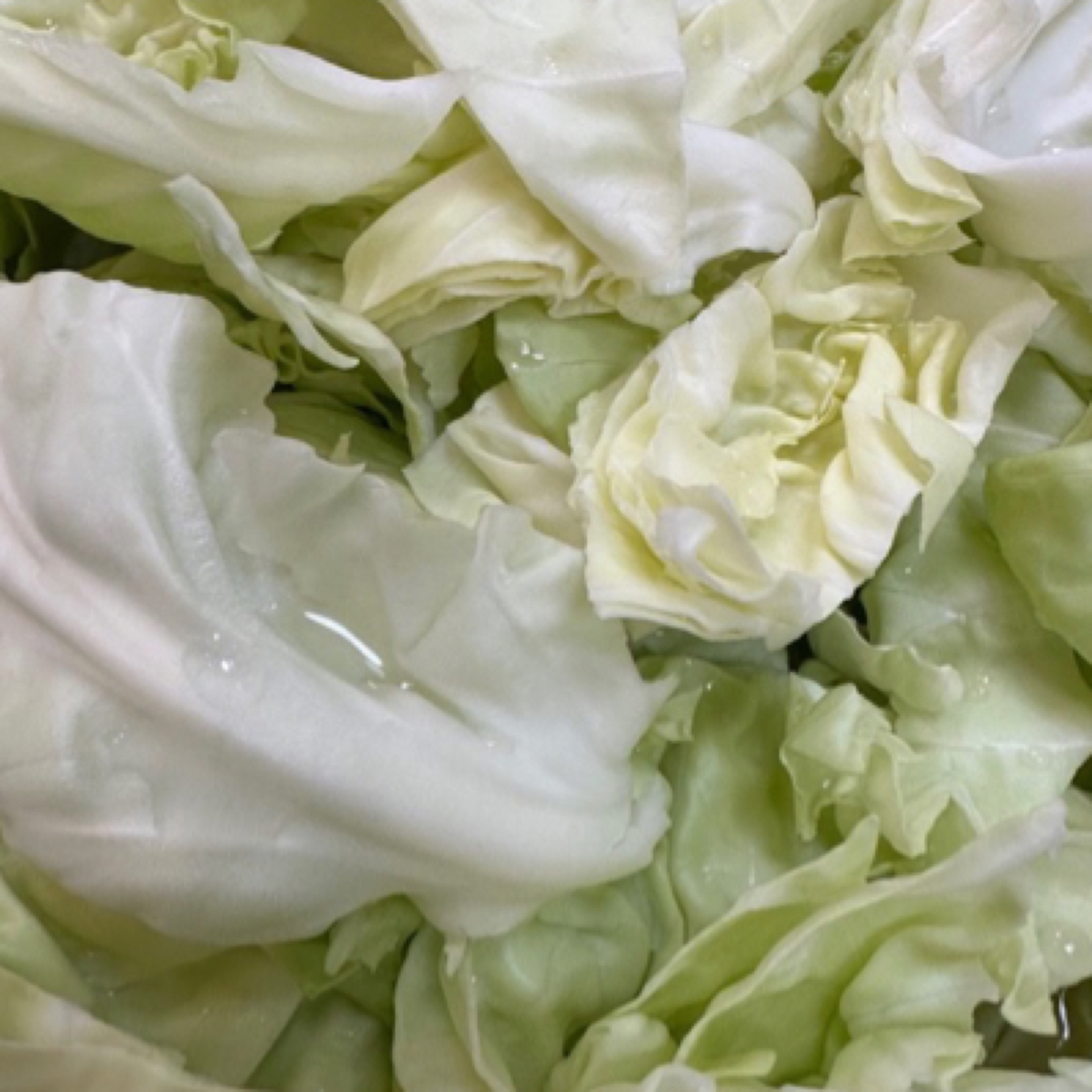 本地包包菜（油辣子拌菜自选菜品）