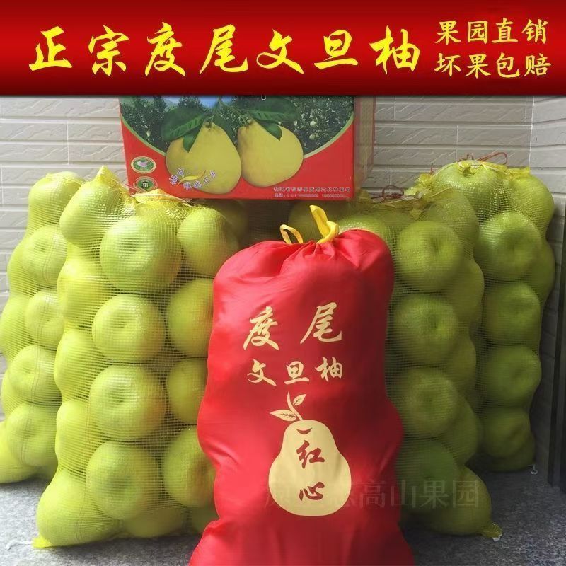 【顺丰包邮】正宗福建仙游度尾文旦柚老树红心白心当季现摘多汁皮厚