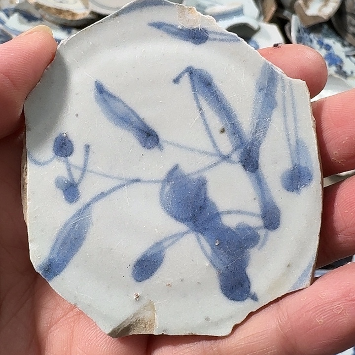 瓷片瓷片标本，顺丰包邮