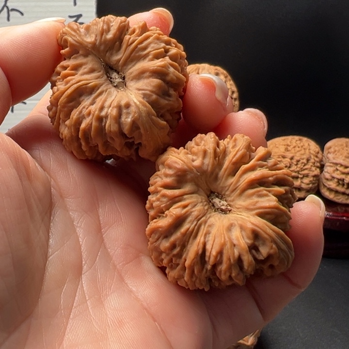 宫*22号高炮拉丝天残