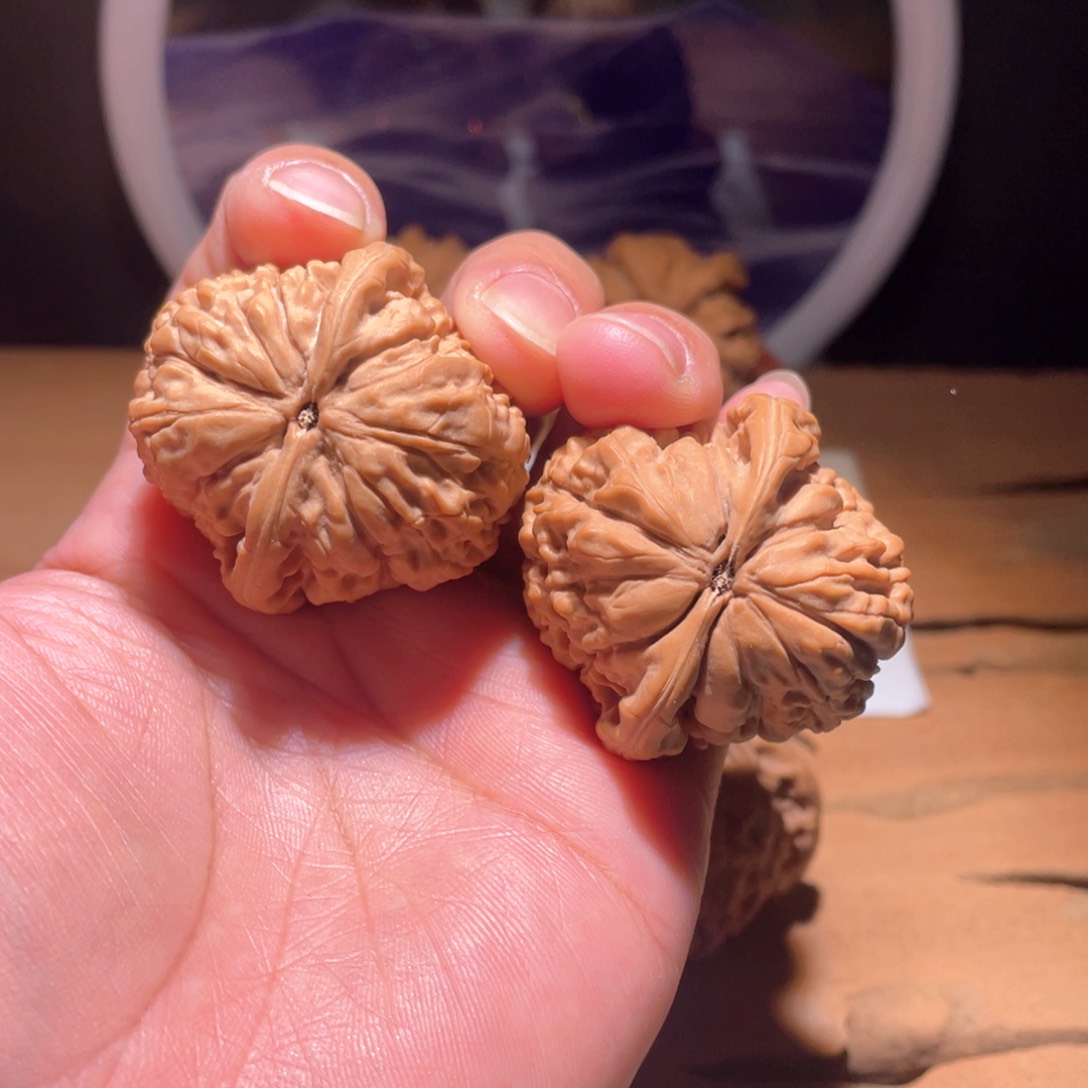 夏*S001 41尺莲花