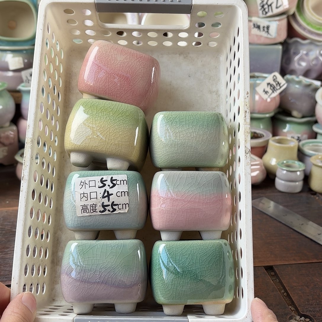 量货/4口高5.5深浅搭配发6