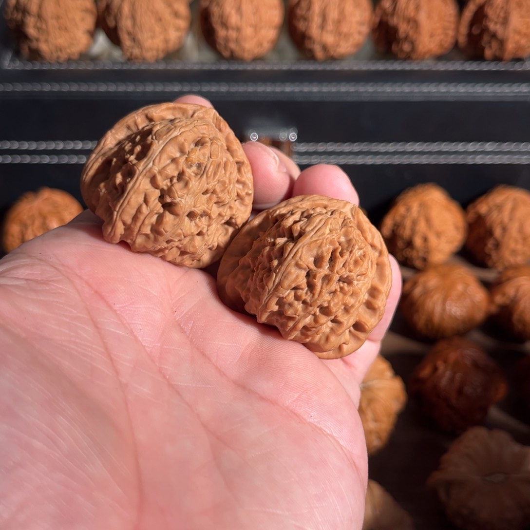 手串/手链核桃不**困38全品三角白