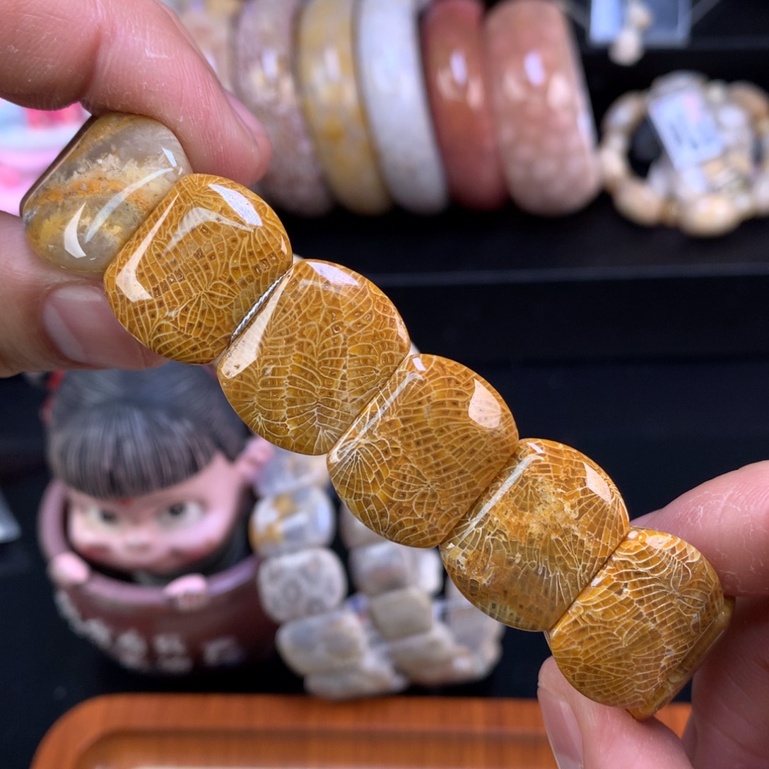 硅化珊瑚（珊瑚玉）未镶嵌颈饰14号金凤尾