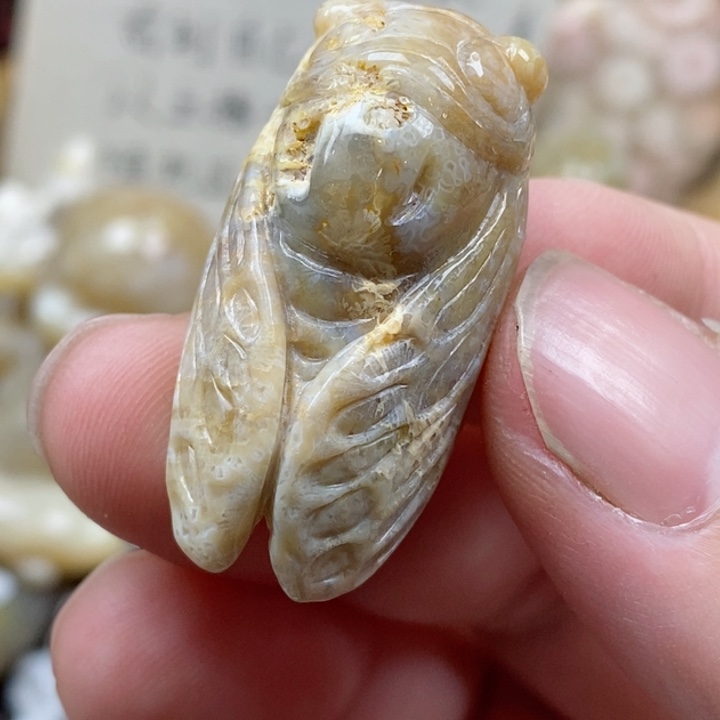 颈饰未镶嵌硅化珊瑚（珊瑚玉）有瑕 小