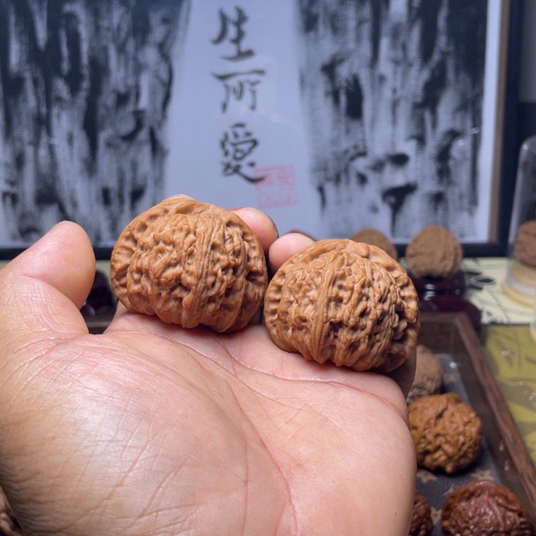 夏***雪46全品大白未打底