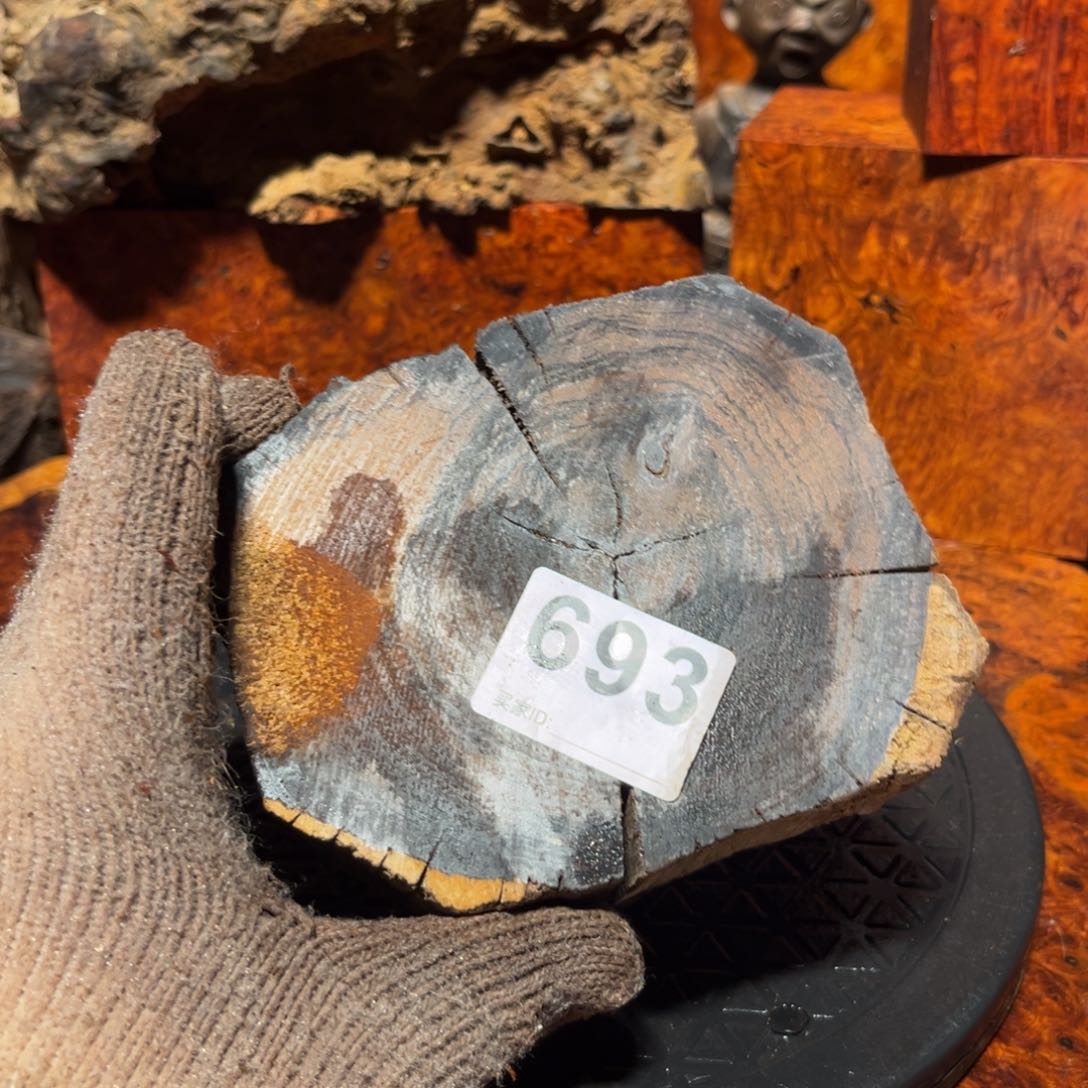 大果紫檀（缅甸花梨）