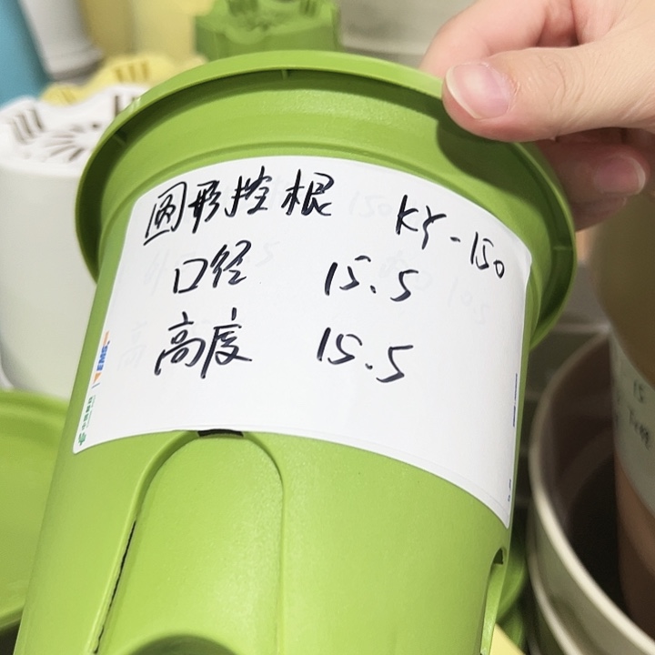 正品圆控口15高15果绿带托10只