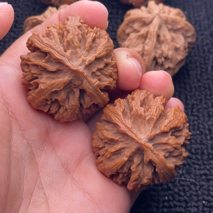 文玩核桃把件文玩核桃5