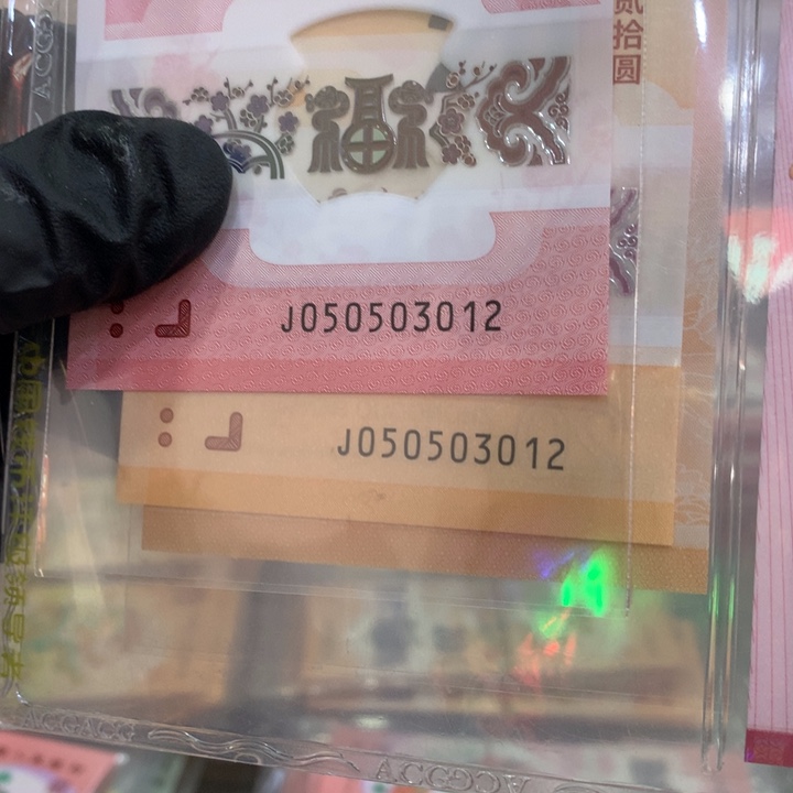 塑料龙蛇双胞胎全同号一对050503012