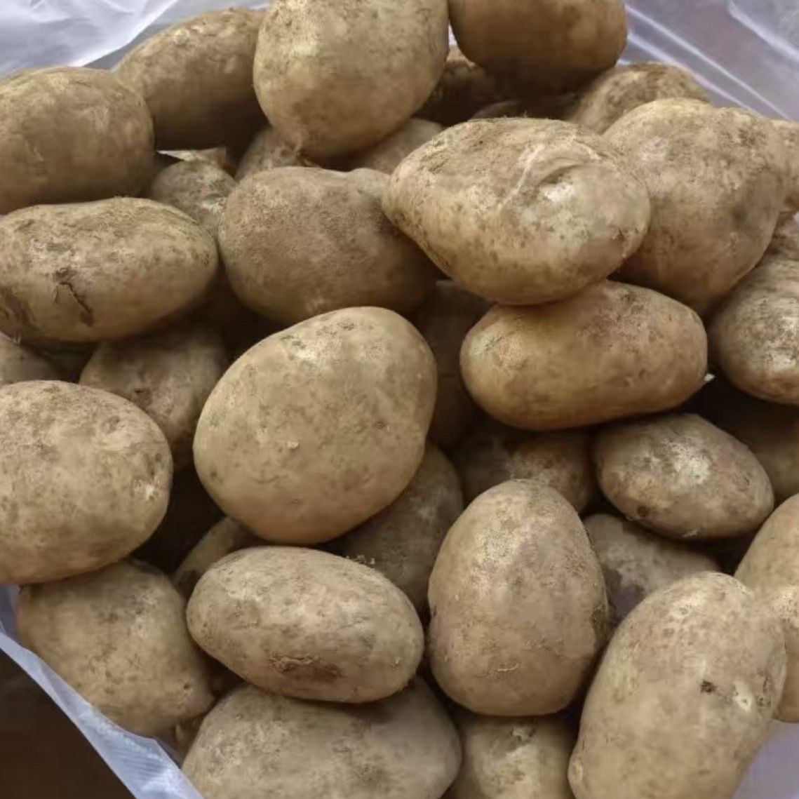 贵州威宁黄心洋芋下饭菜