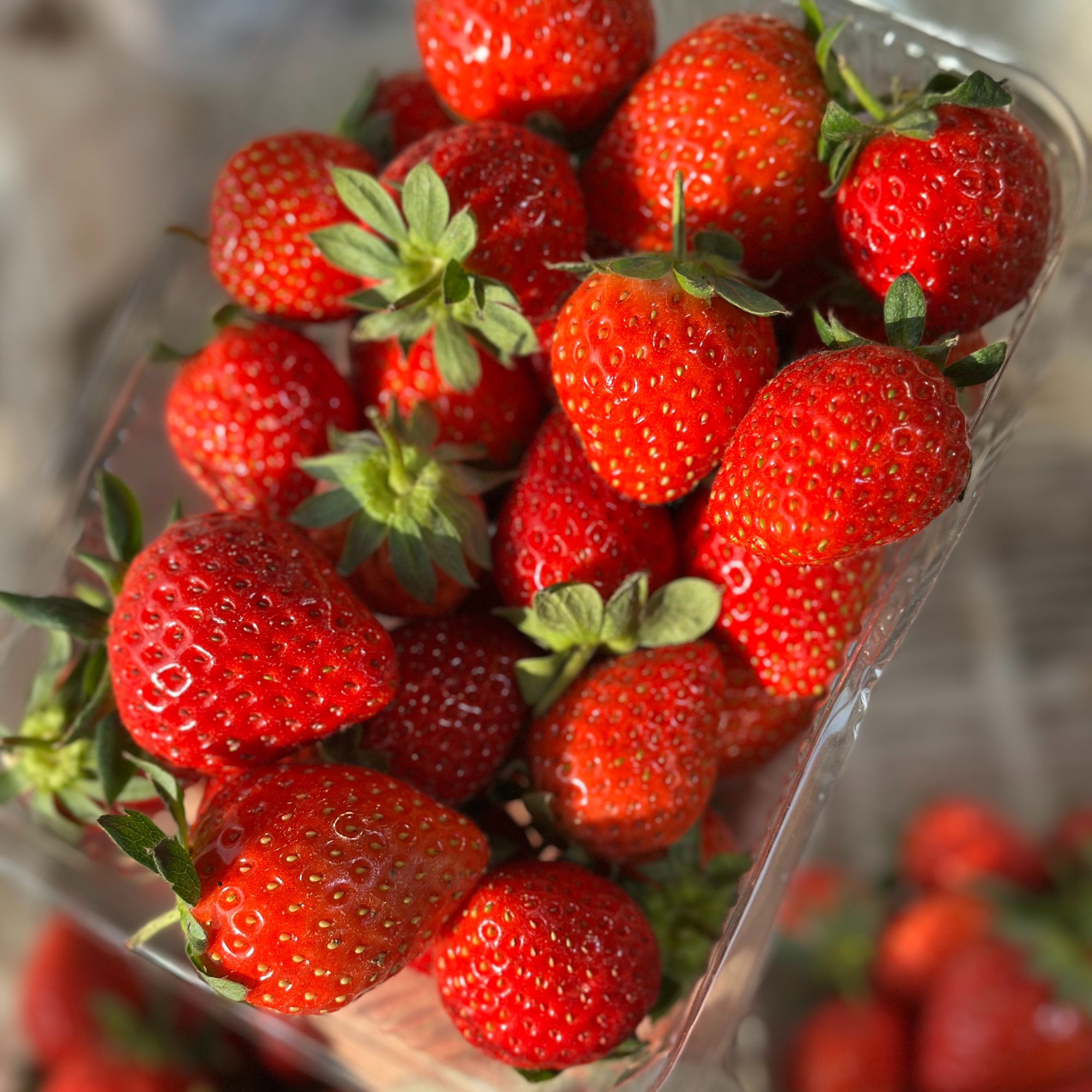 （新品）本地甜宝草莓一盆一斤2两左右安徽省