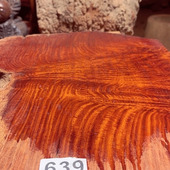 大果紫檀（缅甸花梨）