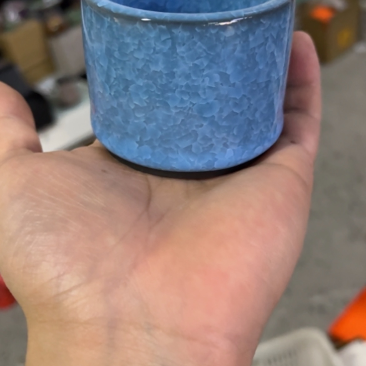 【闪购商品】55555555555555555555