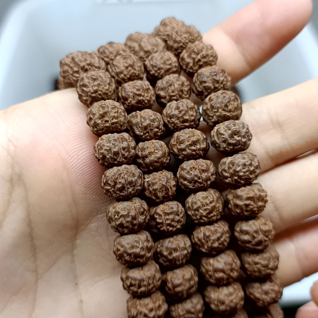 金刚菩提吊坠王*辰金刚