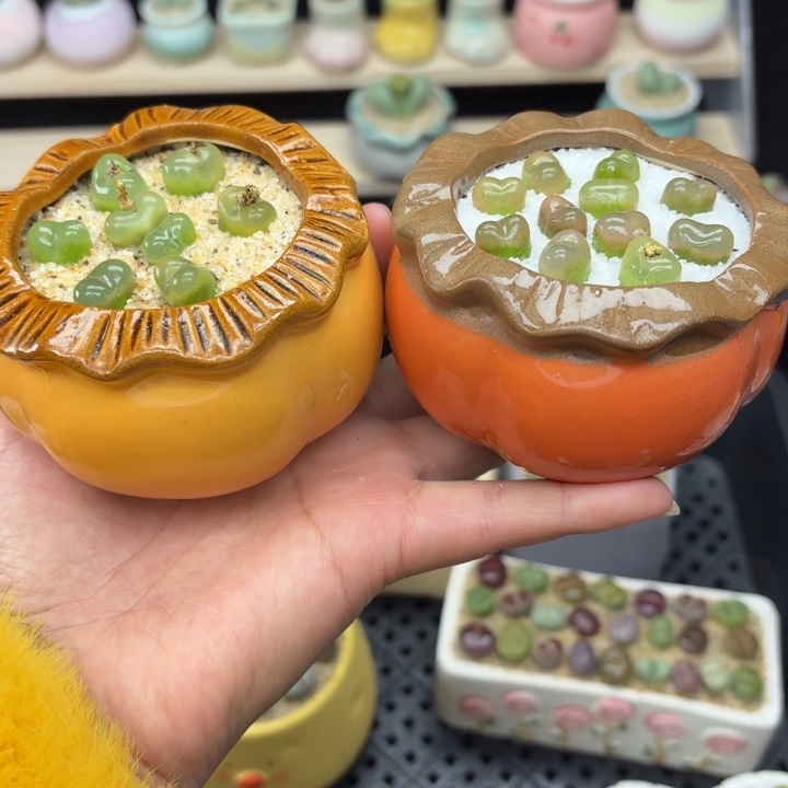 6021零下地区记得拍保温箱