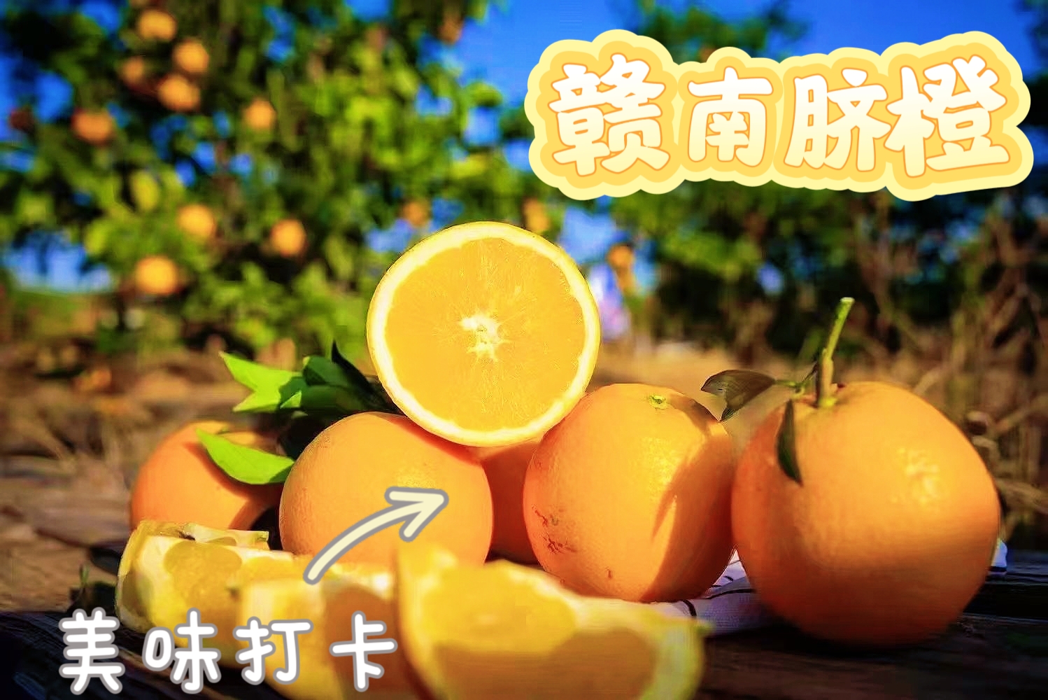 【彩箱装】赣南脐橙产地直供皮薄肉厚细腻无渣维C补水小炸弹