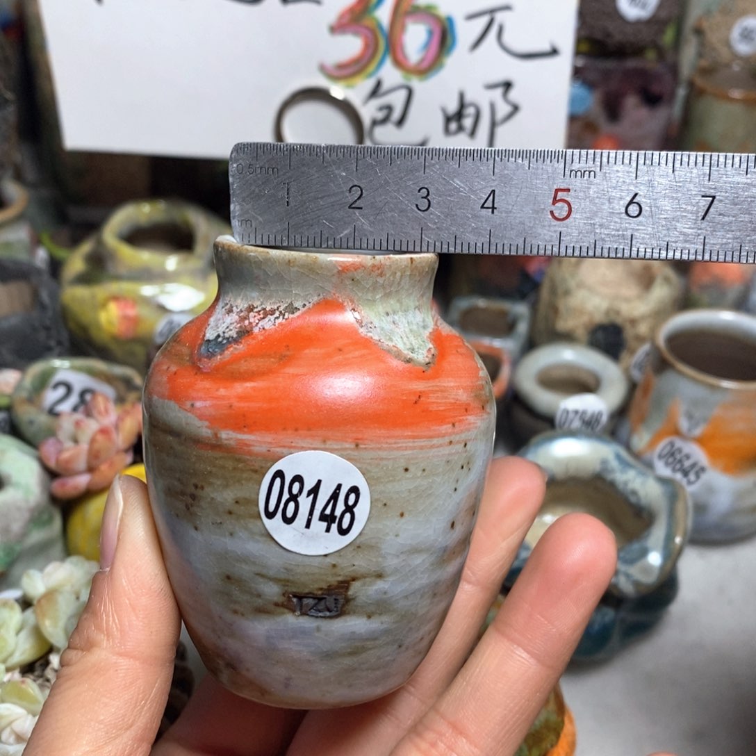 花盆拍5送一个小礼物