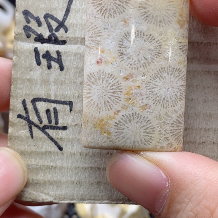 硅化珊瑚（珊瑚玉）颈饰未镶嵌
