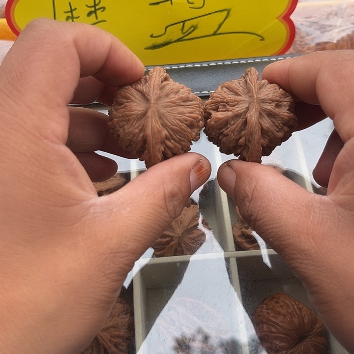 马***文全品无休四座楼核桃