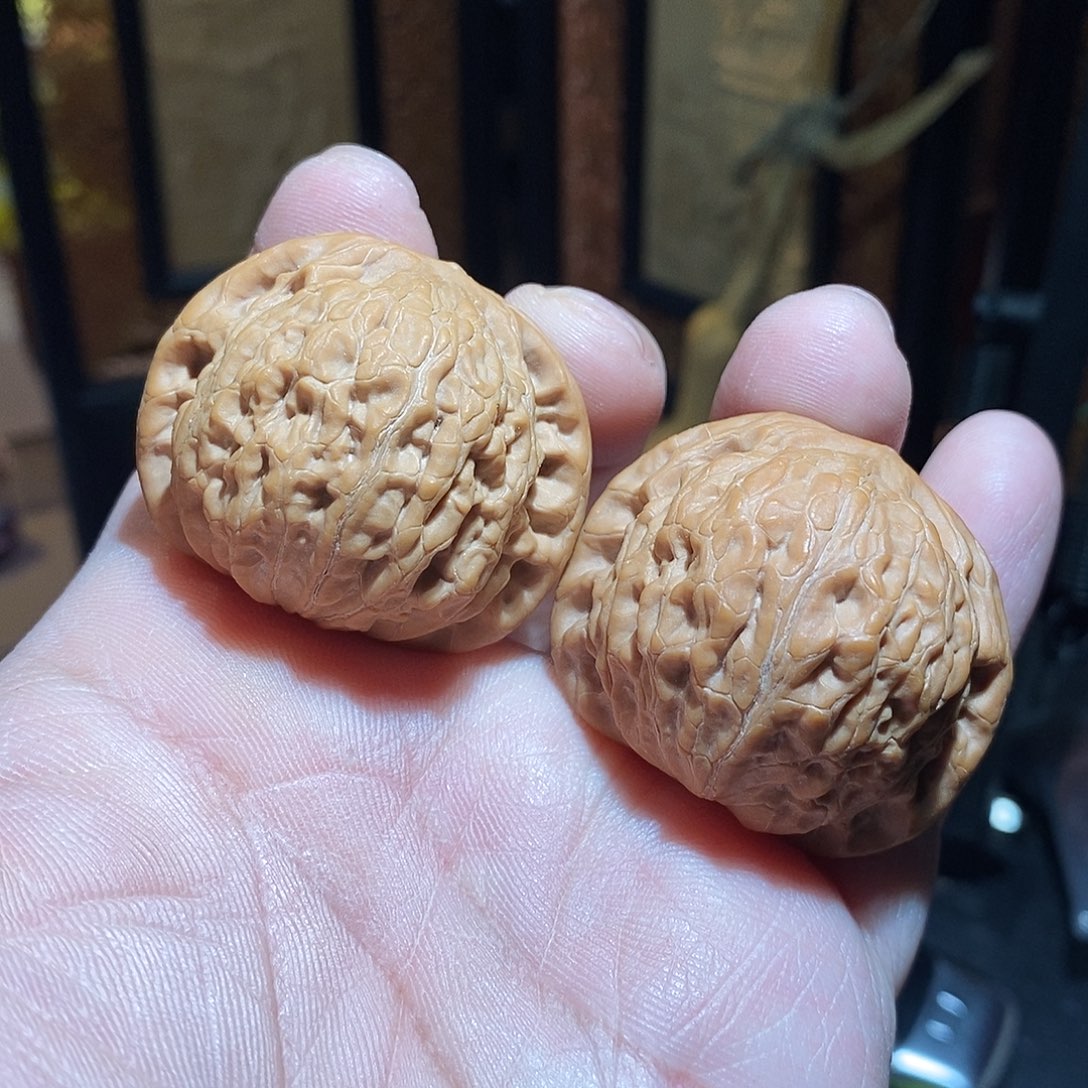 文玩核桃把件40铁锤全品