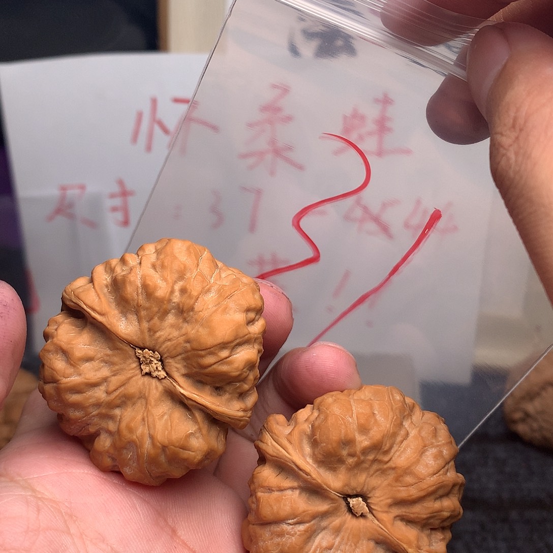 核桃手串/手链88888888888