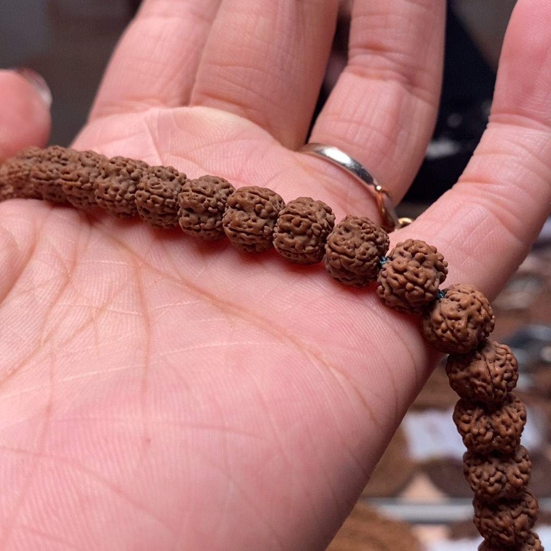 晚***～菩提籽类花王长串