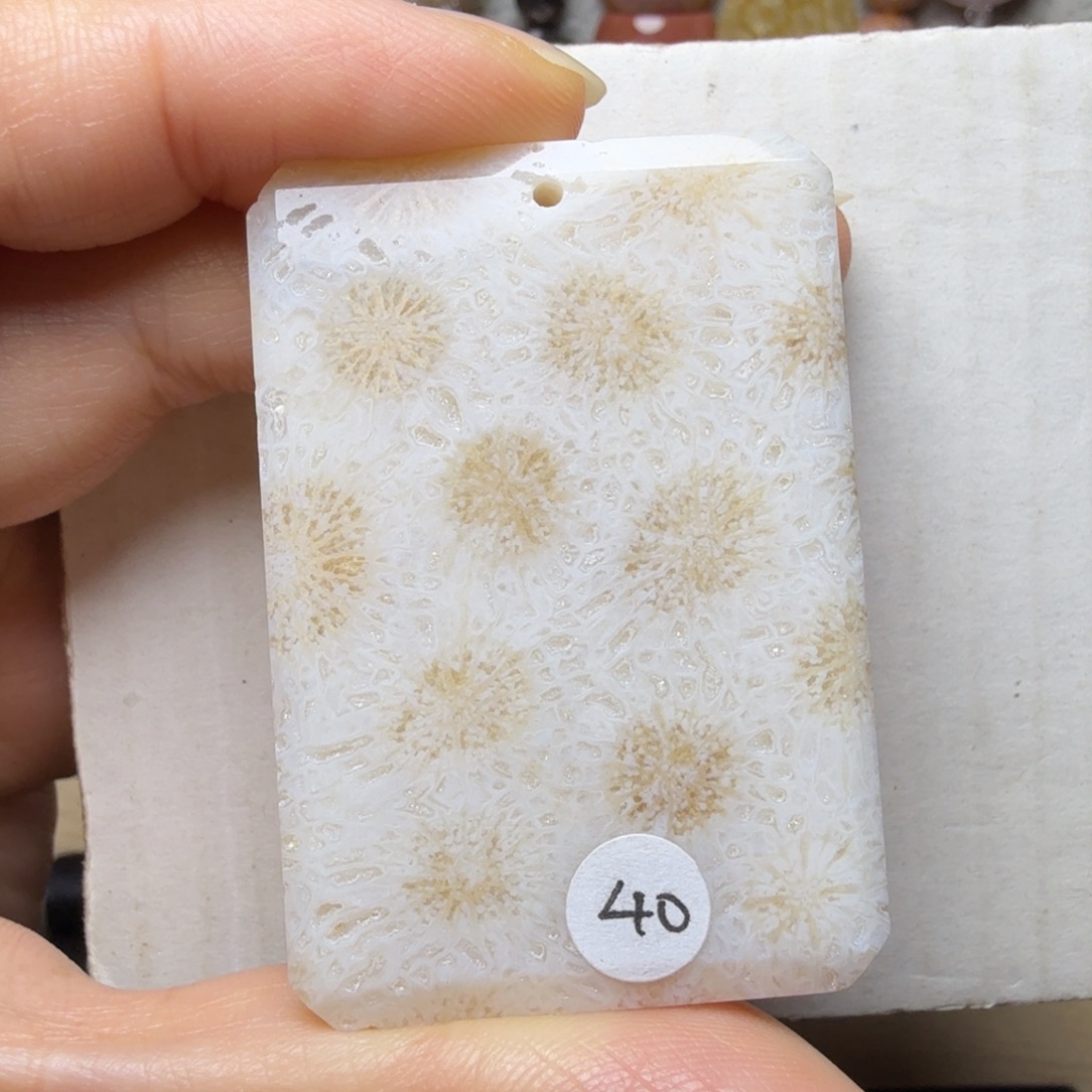 硅化玉未镶嵌爆闪的白底金盏花，有晶骼