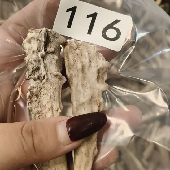 哑***怪鹿角鹿角鹿角鹿角鹿角鹿