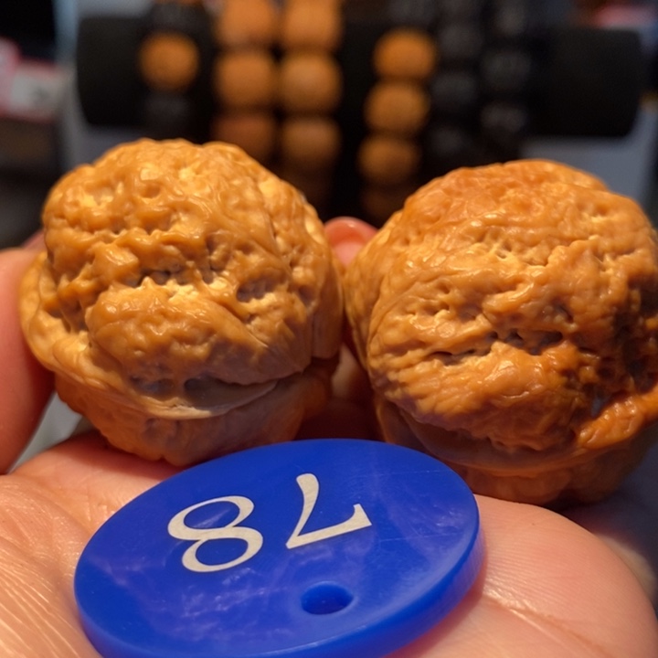 9号链接八宝蟾38尺寸