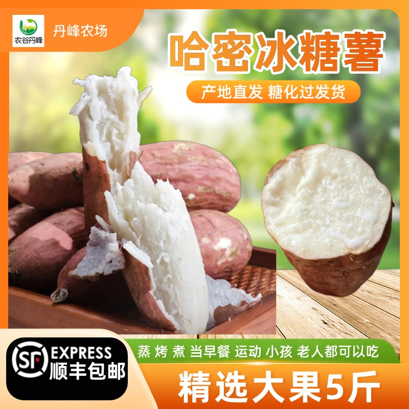 农谷丹峰3 哈密冰糖薯白心蜜薯板栗精品中果大果哈密白薯