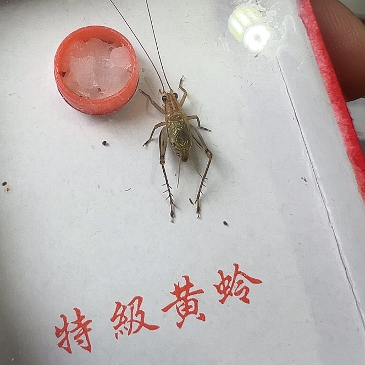 用***1哈哈哈哈哈哈哈哈哈