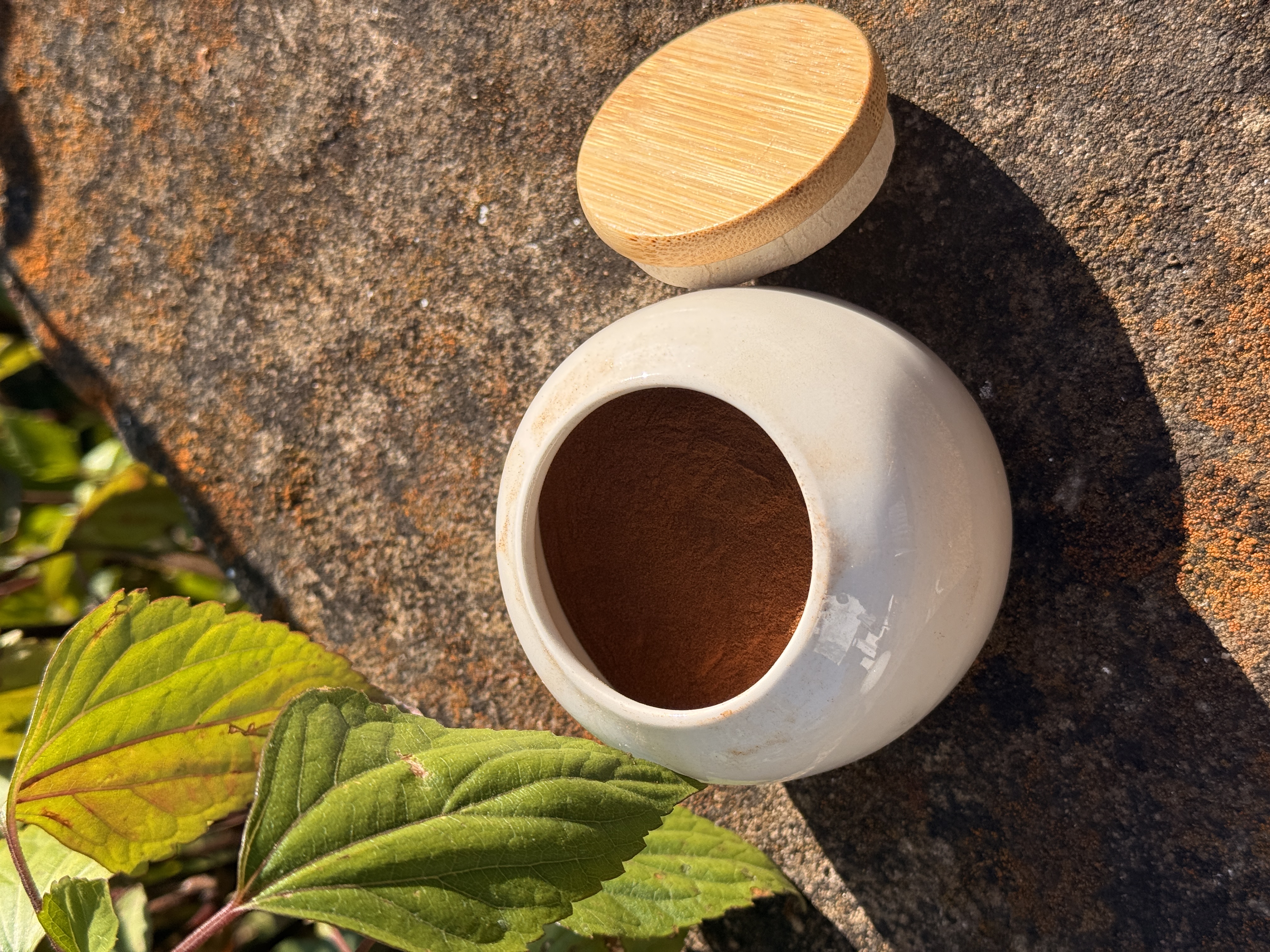 【陈博士精挑高山现收】酸枣仁皂苷肽