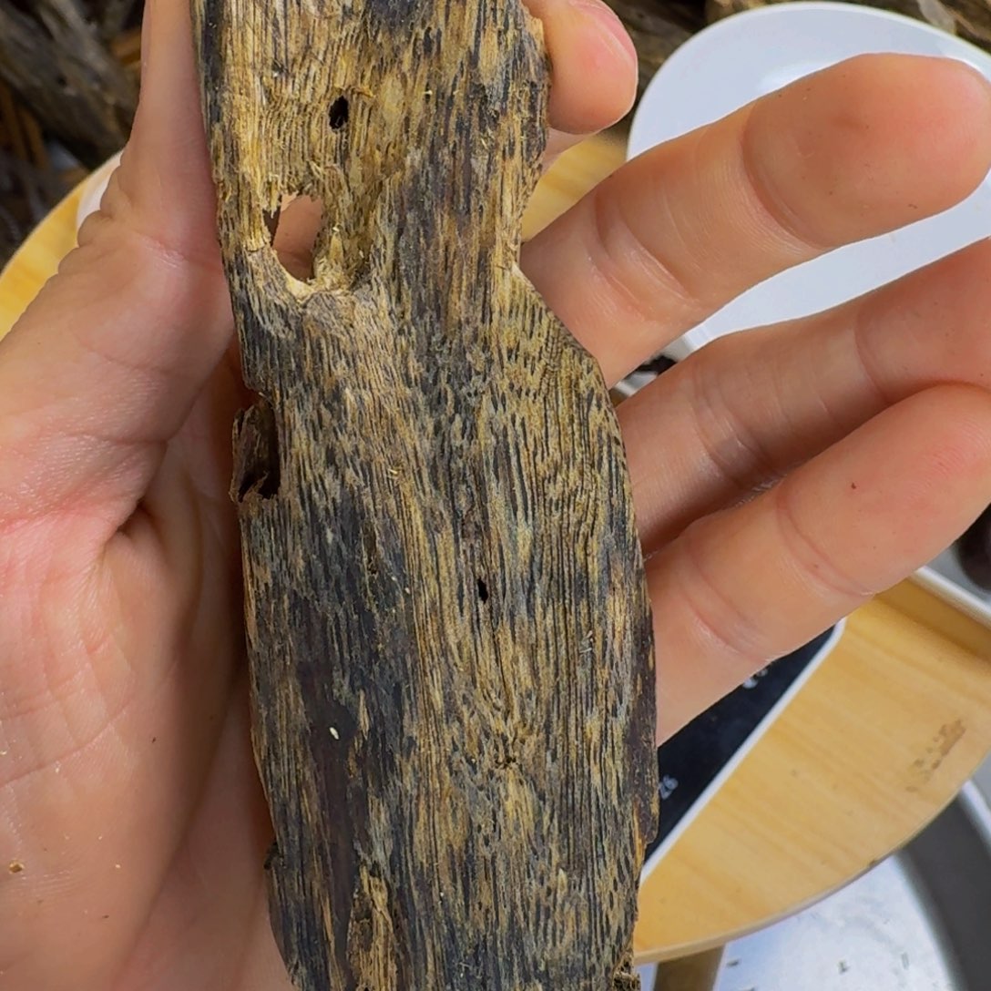 沉香沉香碎屑乌身圆叶虫漏香28克