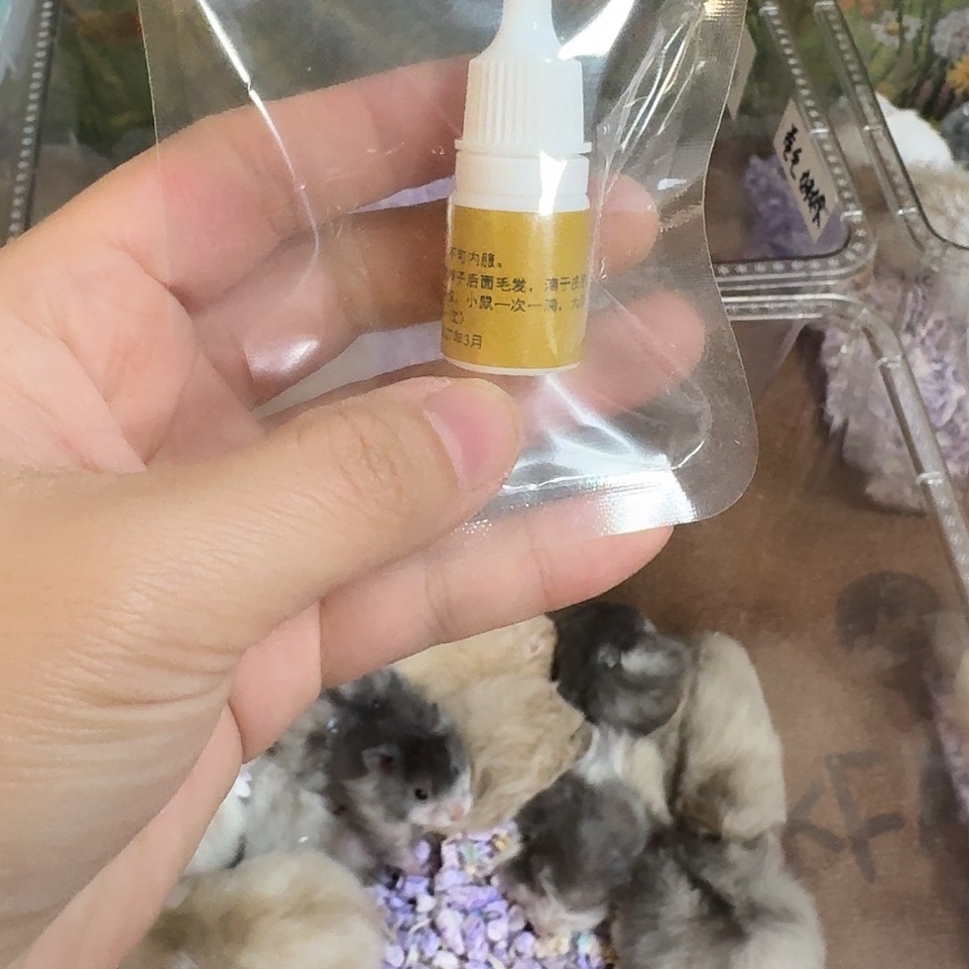 一物一拍22222222