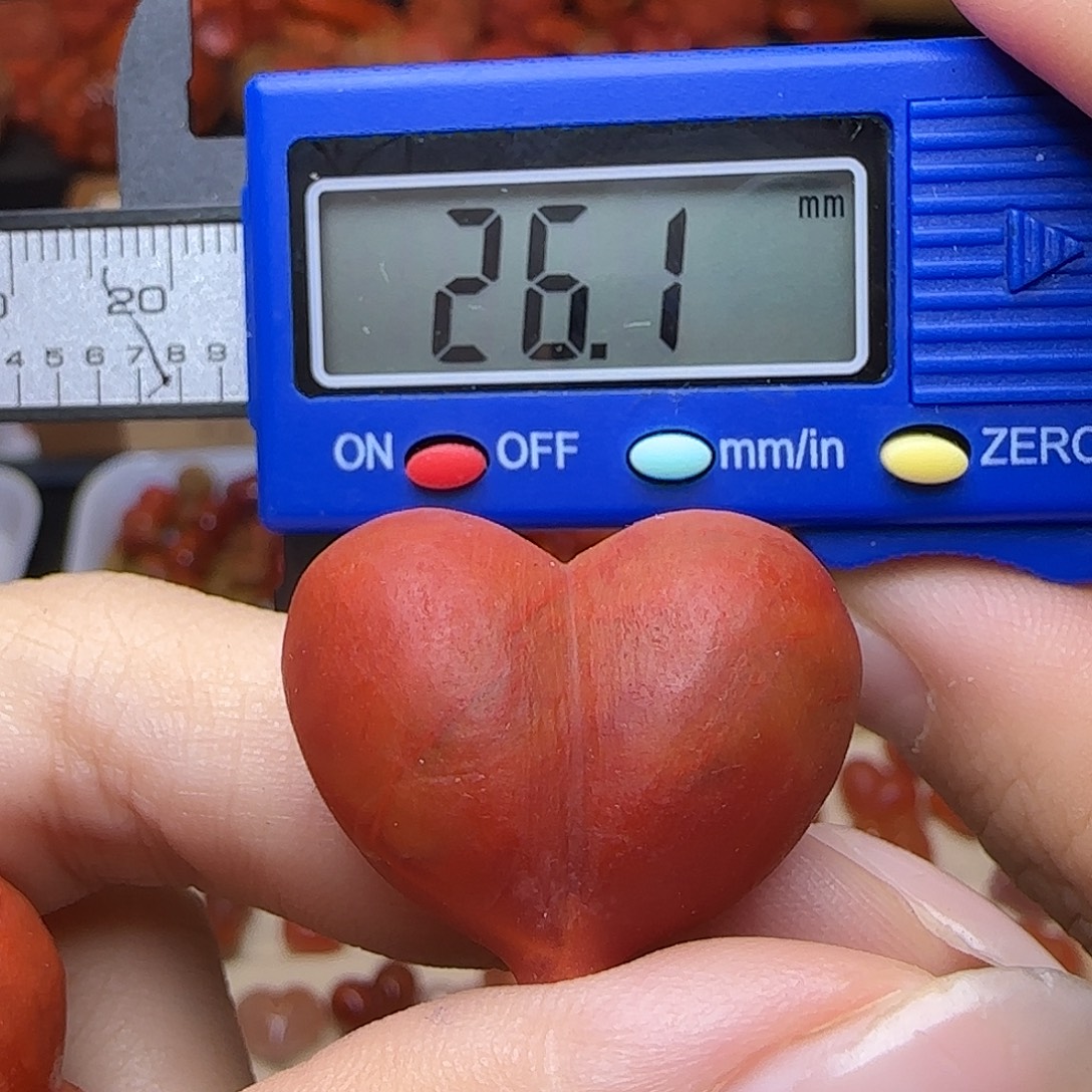 南红玛瑙未镶嵌吊坠(不含链)