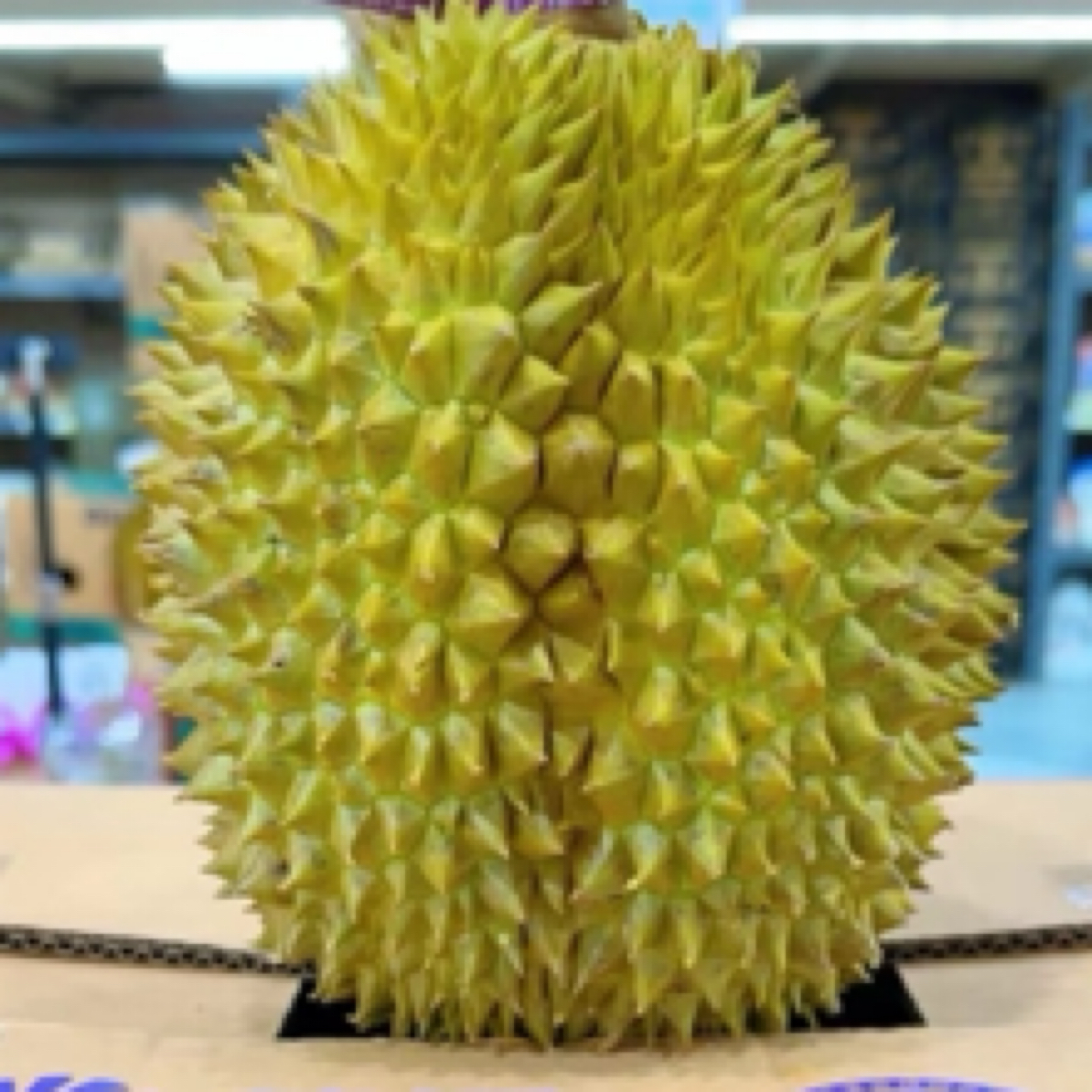 金枕鲜榴莲6斤左右一个(核小）金枕泰国