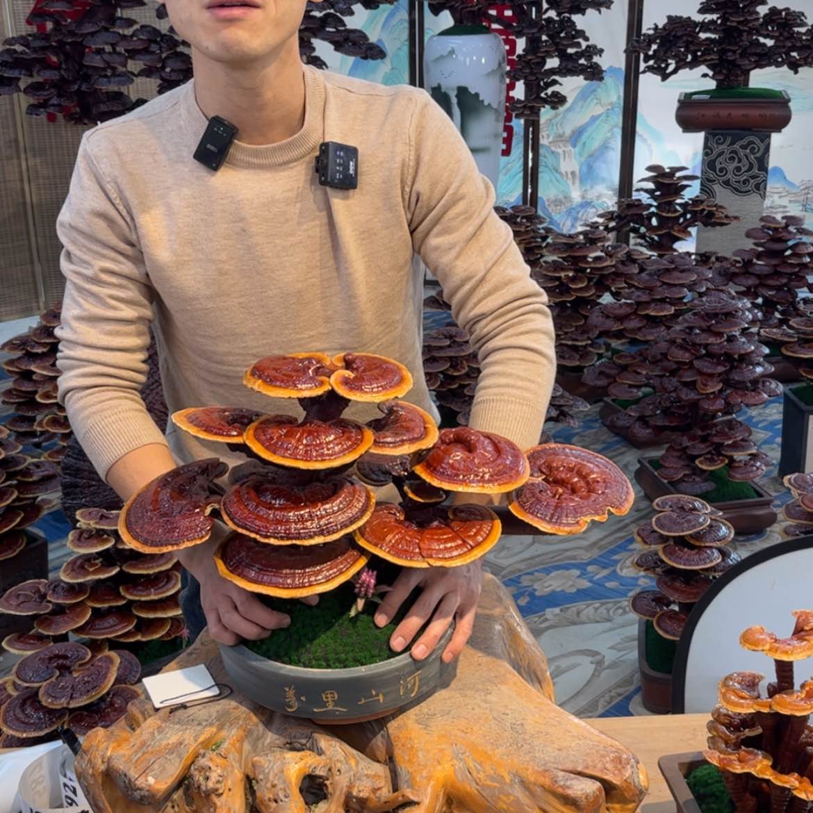 【闪购商品】88888