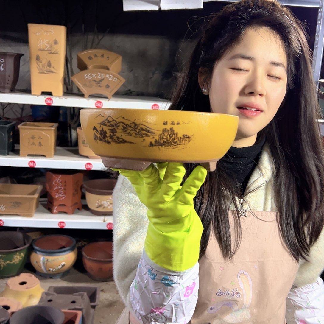 黄色江山如画小号一个花盆