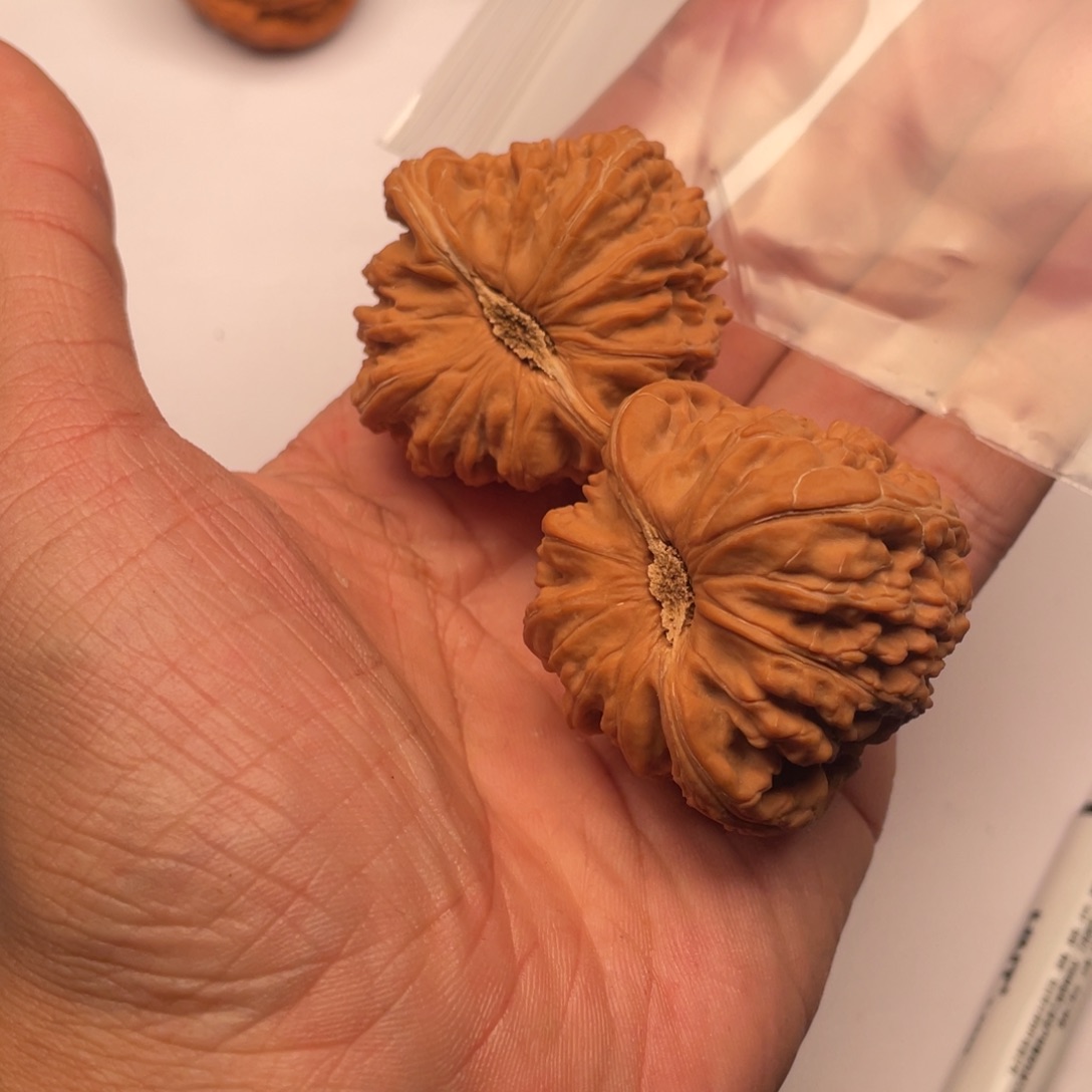 核桃手串/手链1188