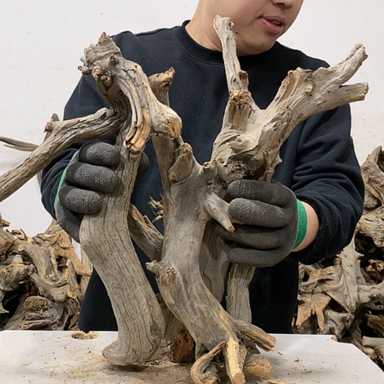 【闪购商品】柏木徐*建我们都是好孩子