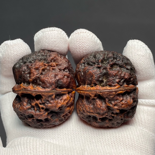 45尺寸元宝蟾-精品云南铁核桃