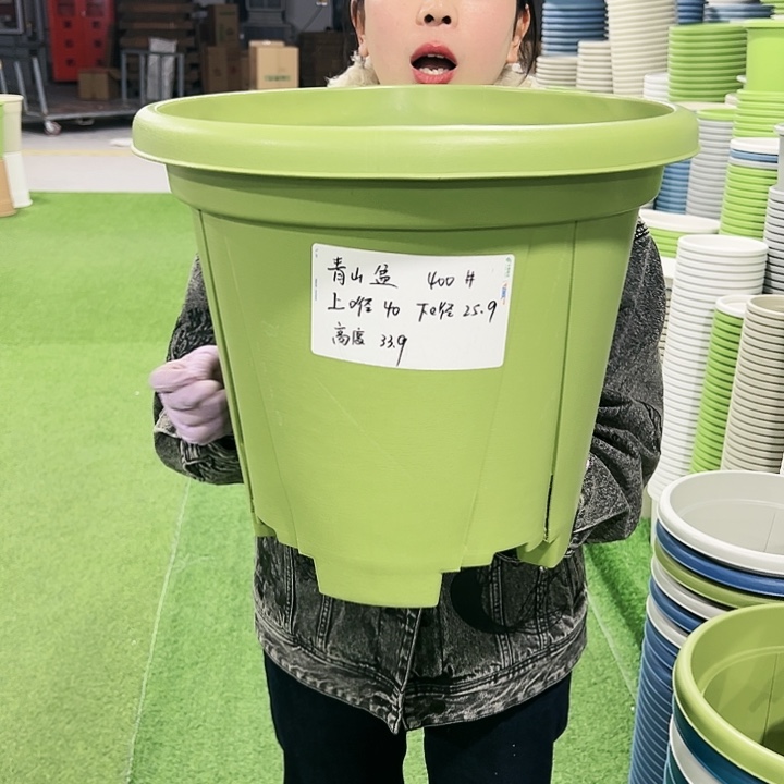 清仓青山口40高34果绿色3只无托