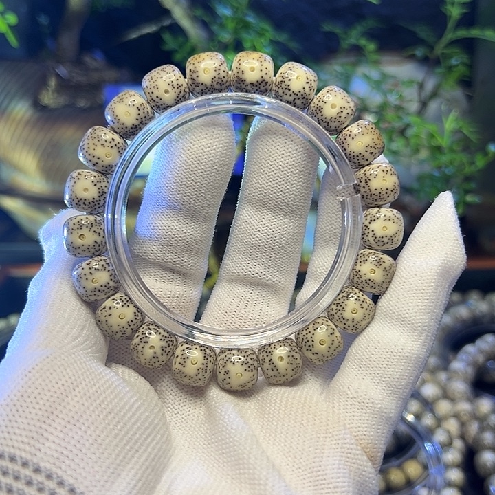 大***庆星月菩提手串海南原生态